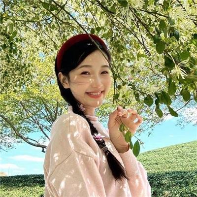 傲骨贤妻第四季